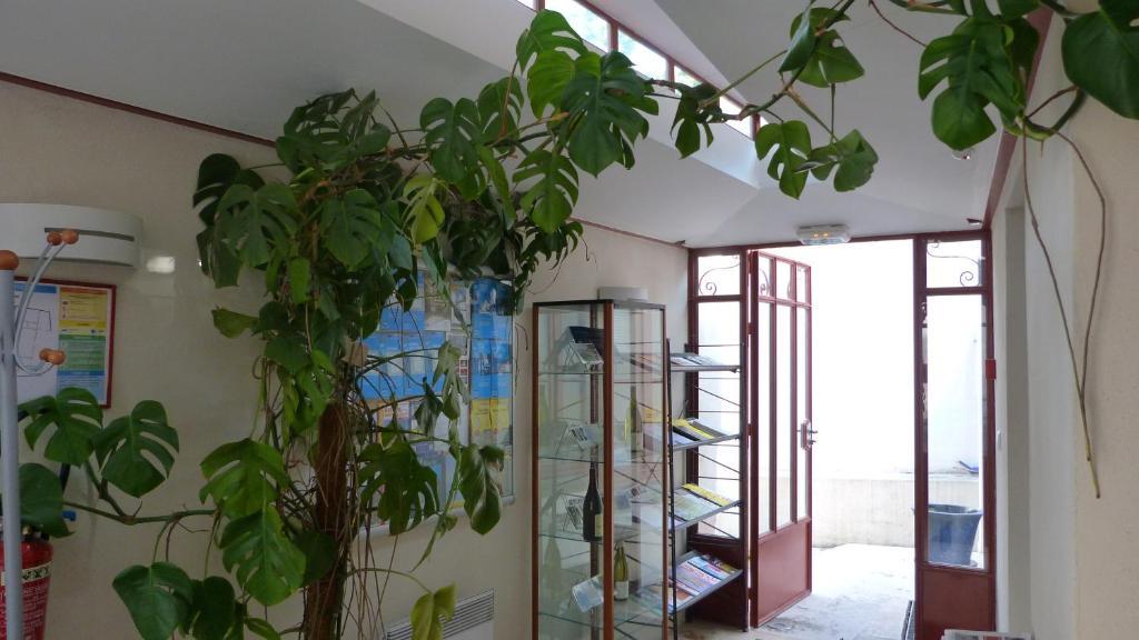 La Maison Des Randonneurs Hostel Оксер Екстериор снимка